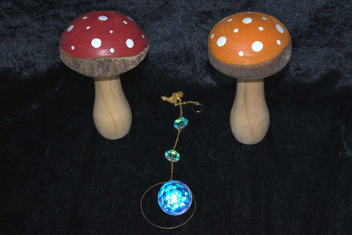 Sun Catcher