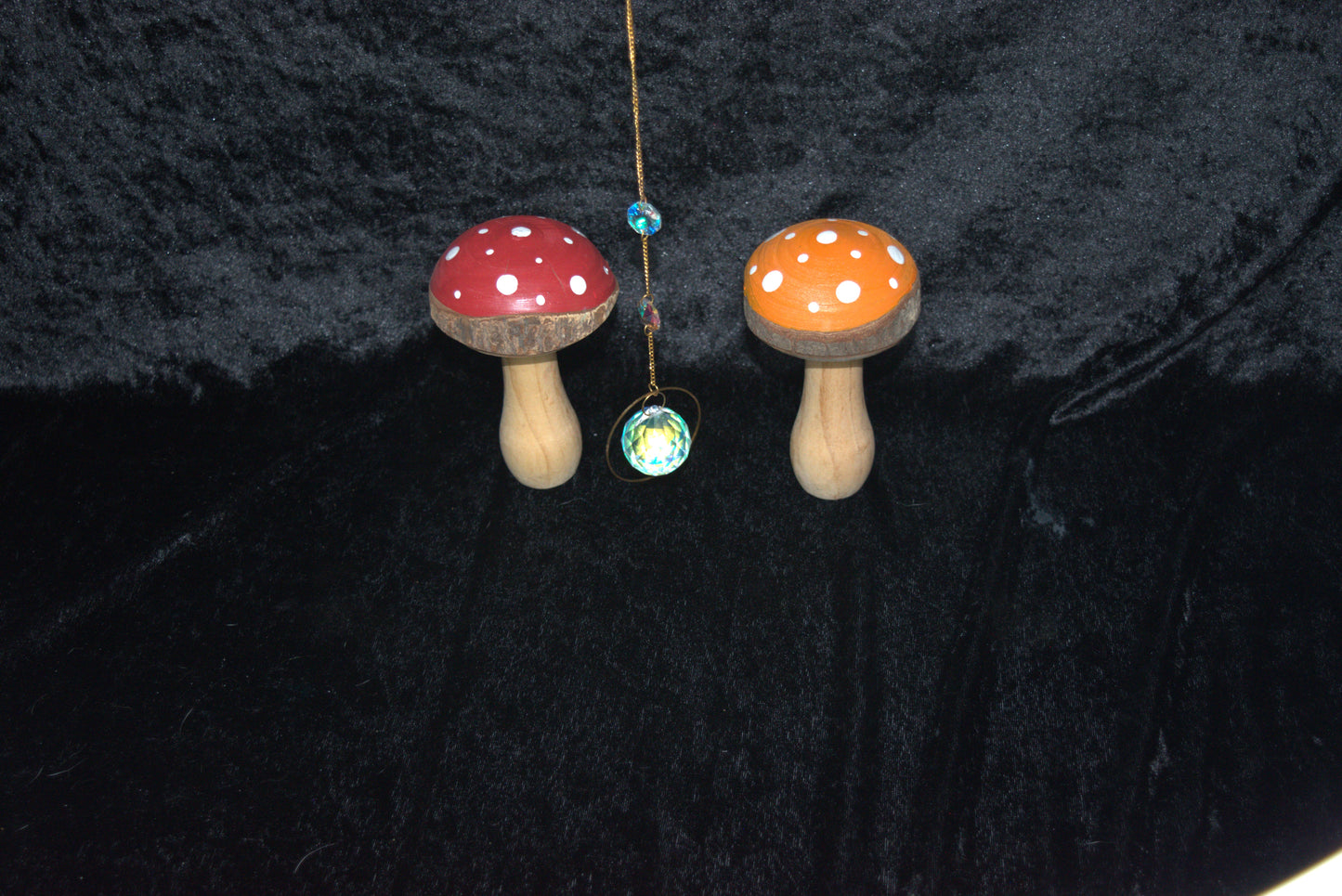 Sun Catcher