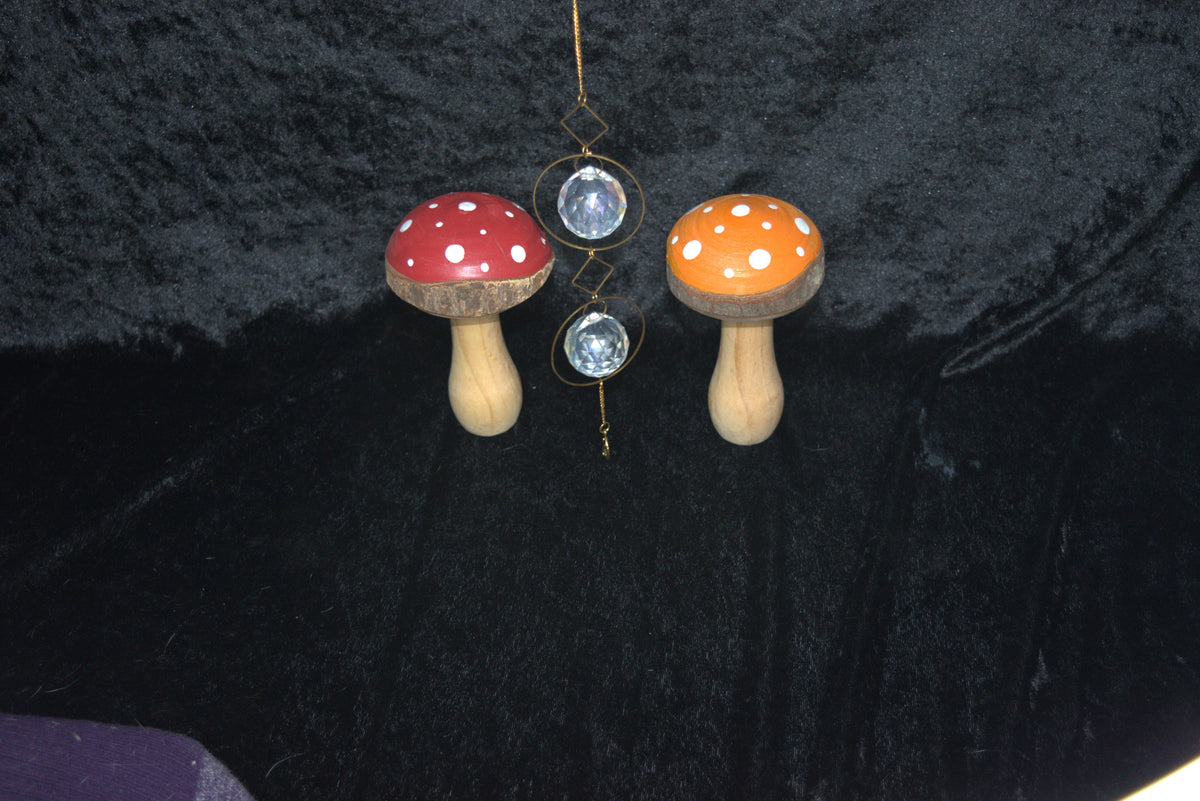 Sun Catcher
