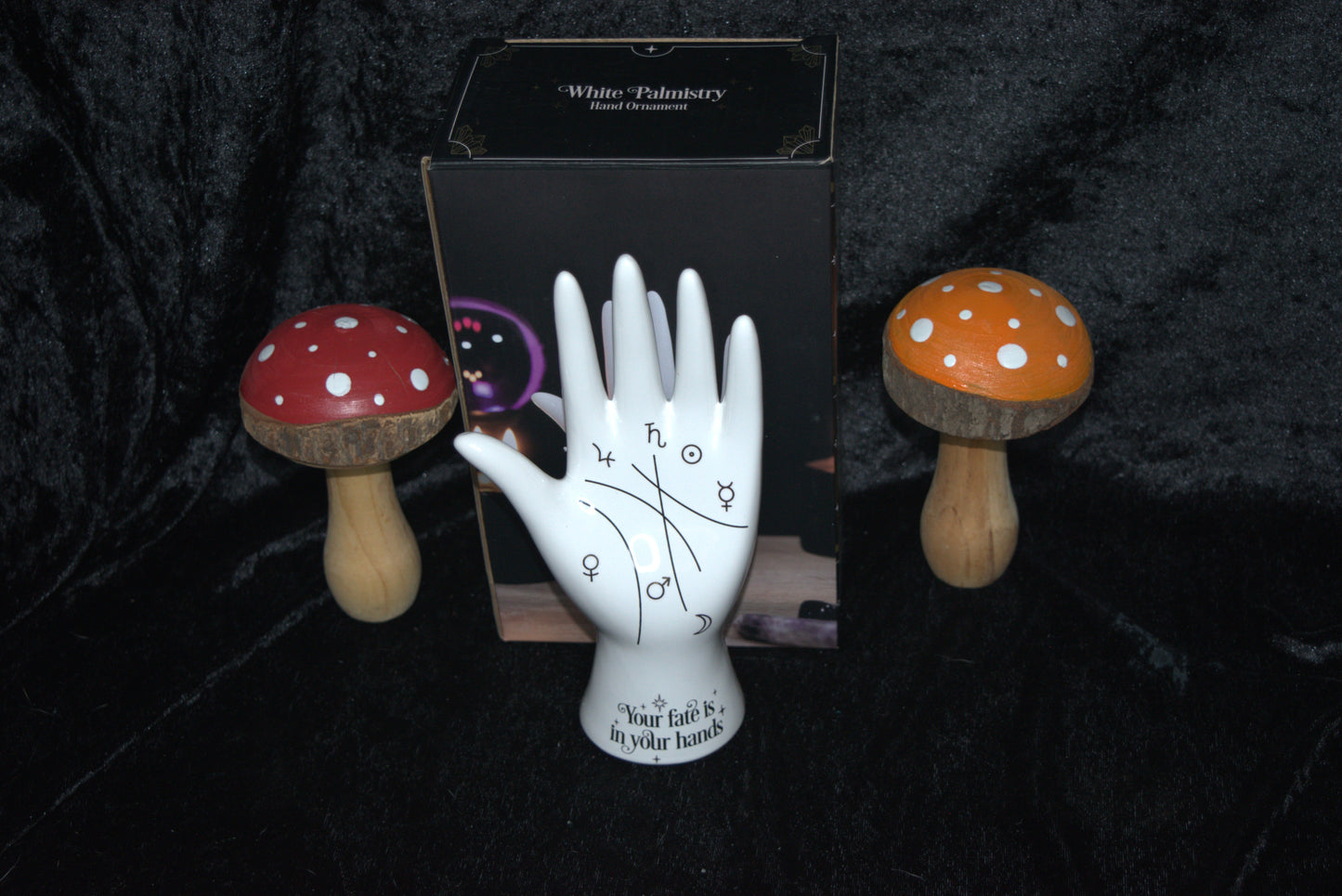 Palmistry Hand